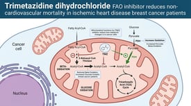 Trimetazidine dihydrochloride FAO inhibitor reduces non-cardiovascular mortality in ischemic heart disease breast cancer patients
