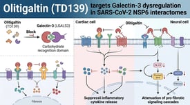 Olitigaltin (TD139) targets Galectin-3 dysregulation in SARS-CoV-2 NSP6 interactomes