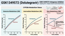 GSK1349572 (Dolutegravir) GSK1349572 Integrase inhibitor Targeting HIV-1 Integrase Strand Transfer Mechanism