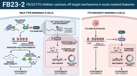 FB23-2 FB232 FTO inhibitor cytotoxic off-target mechanisms in acute myeloid leukemia