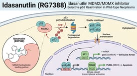 Idasanutlin (RG7388) Idasanutlin MDM2/MDMX inhibitor Selective p53 Reactivation in Wild-Type Neoplasms