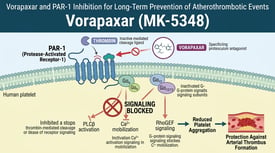 Vorapaxar and PAR-1 Inhibition for Long-Term Prevention of Atherothrombotic Events