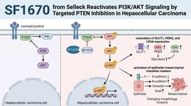 SF1670 from Selleck Reactivates PI3K/AKT Signaling by Targeted PTEN Inhibition in Hepatocellular Carcinoma
