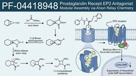 PF-04418948 Prostaglandin Recept EP2 Antagonist Modular Assembly via Anion Relay Chemistry