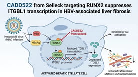 CADD522 from Selleck targeting RUNX2 suppresses ITGBL1 transcription in HBV-associated liver fibrosis