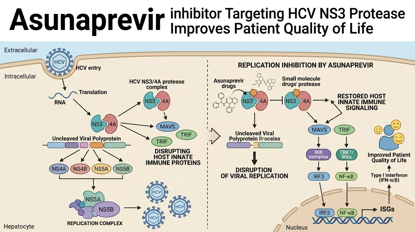 Schematic diagram of HCV NS3 4A protease polyprotein cleavage pathway inhibition during viral suppression